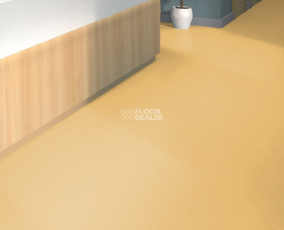 Tarkett iq Melodia 2633 фото 2 | FLOORDEALER